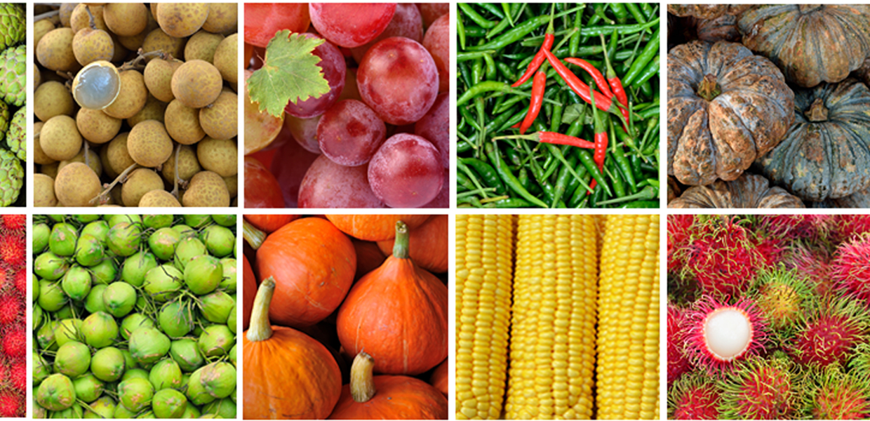 חדרי קירור חכמים לאחסון תוצרת חקלאית 
מערכות קירור מותאמות  לדרישות הלקוח 